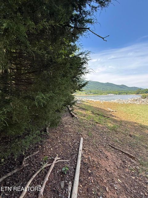 Tiny photo for 00 Walnut Bend Drive #27R, Whitesburg, TN 37891 (MLS # 1342905)