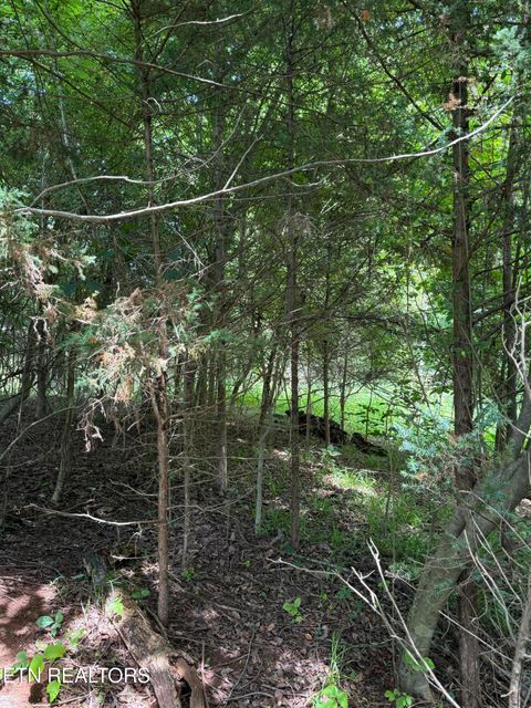 Tiny photo for 00 Walnut Bend Drive #27R, Whitesburg, TN 37891 (MLS # 1342905)
