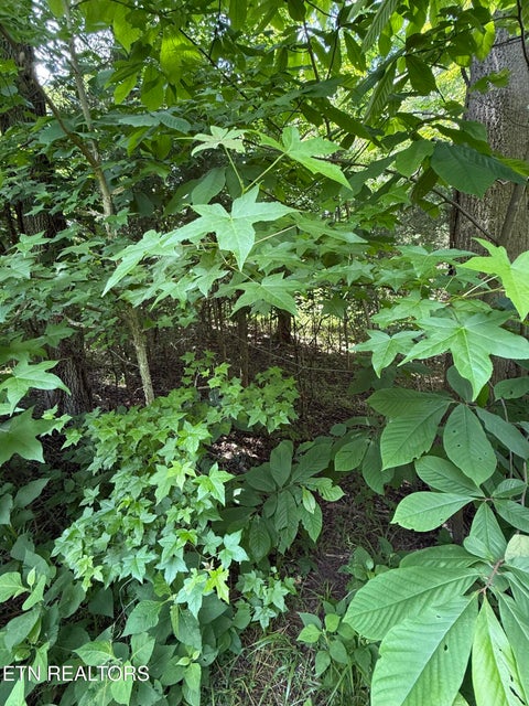 Tiny photo for 00 Walnut Bend Drive #27R, Whitesburg, TN 37891 (MLS # 1342905)