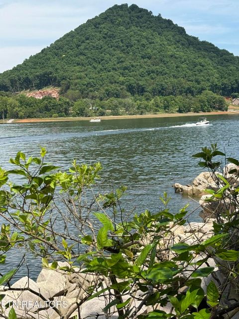 Tiny photo for 00 Walnut Bend Drive #27R, Whitesburg, TN 37891 (MLS # 1342905)
