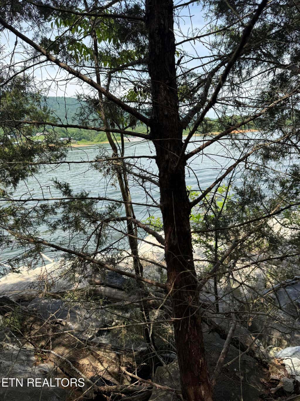 Photo of 00 Walnut Bend Drive #27R, Whitesburg, TN 37891 (MLS # 1342905)