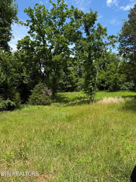 Tiny photo for 00 Walnut Bend Drive #27R, Whitesburg, TN 37891 (MLS # 1342905)