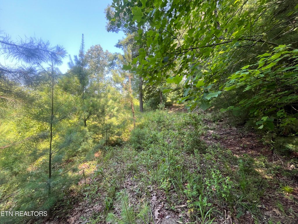 Photo of Blizzard Mine Rd, Harriman, TN 37748 (MLS # 1307682)