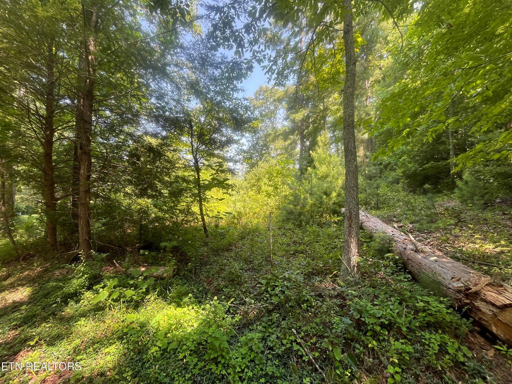 Photo of Blizzard Mine Rd, Harriman, TN 37748 (MLS # 1307682)