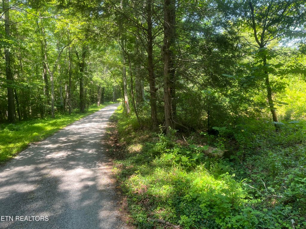 Photo of Blizzard Mine Rd, Harriman, TN 37748 (MLS # 1307682)