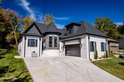 Photo of 316 Ootsima Lane, Loudon, TN 37774 (MLS # 1319223)