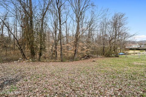 Tiny photo for 353 Lee Rd, Clinton, TN 37716 (MLS # 1330183)