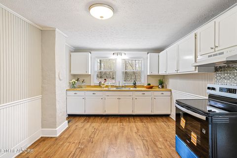 Tiny photo for 353 Lee Rd, Clinton, TN 37716 (MLS # 1330183)