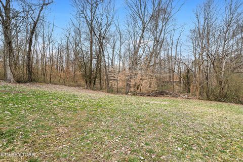 Tiny photo for 353 Lee Rd, Clinton, TN 37716 (MLS # 1330183)