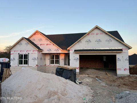 Photo of 222 Limelight Lane, Lenoir City, TN 37772 (MLS # 1324253)