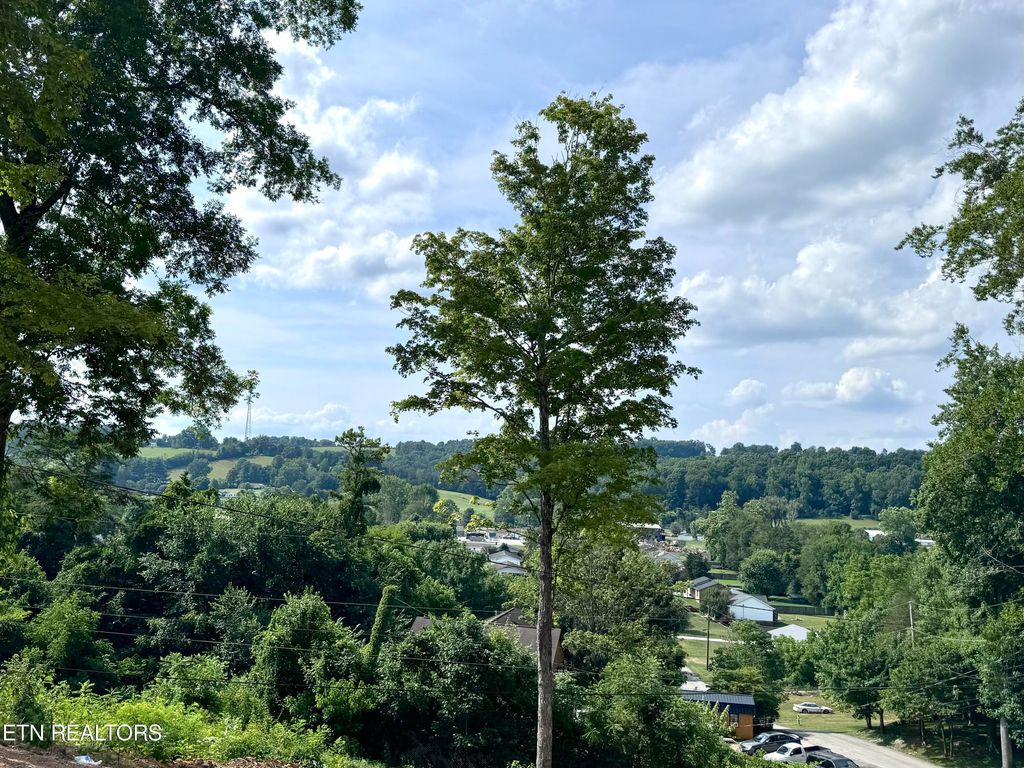 Photo of 132 Lynn Drive, Maynardville, TN 37807 (MLS # 1269032)