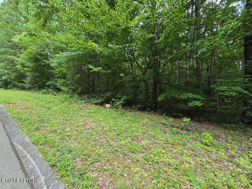 Photo of Lot 138 Lower Brow Rd, Dunlap, TN 37327 (MLS # 1348728)