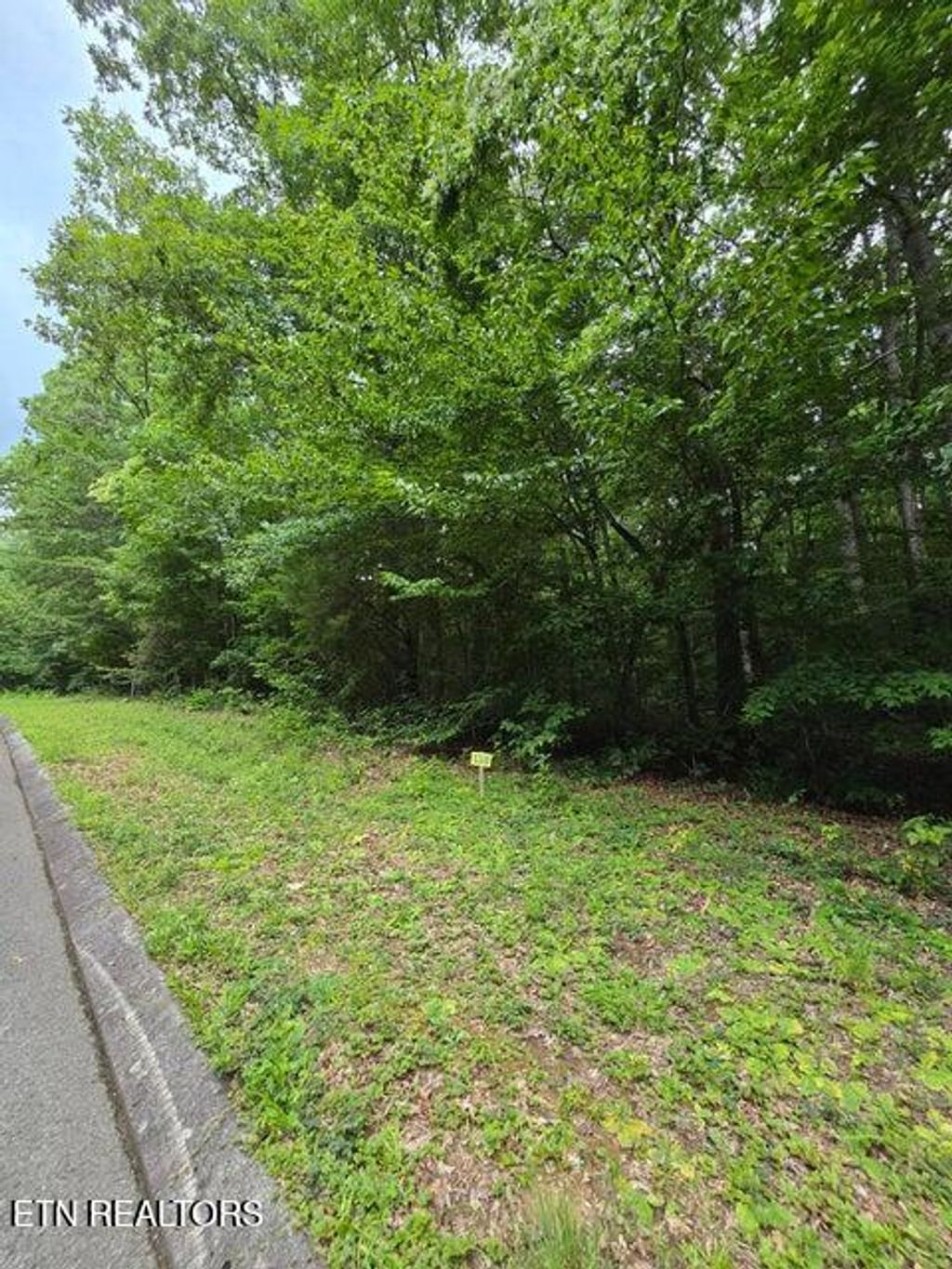 Photo of Lot 138 Lower Brow Rd, Dunlap, TN 37327 (MLS # 1348728)