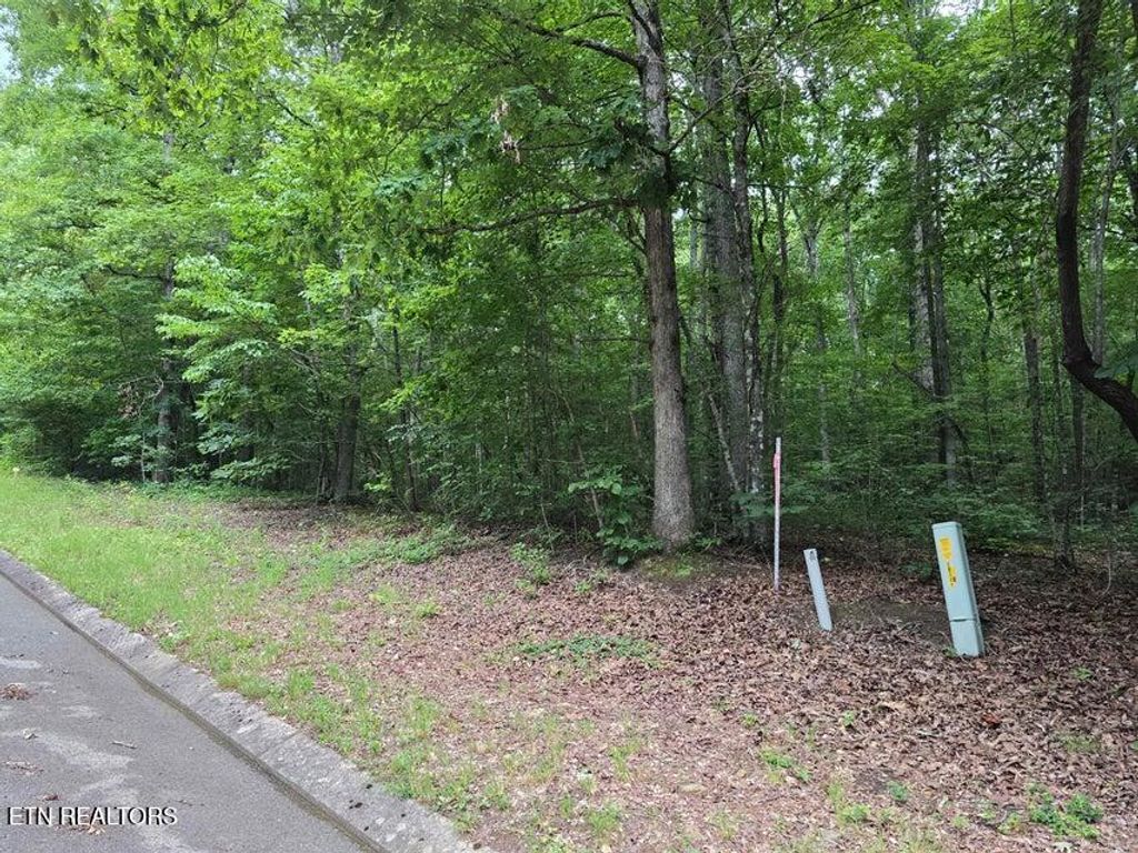 Photo of Lot 138 Lower Brow Rd, Dunlap, TN 37327 (MLS # 1348728)