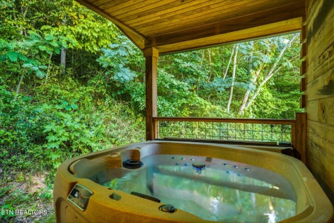 Tiny photo for 322 Mystical Creek Way, Cosby, TN 37722 (MLS # 1355401)