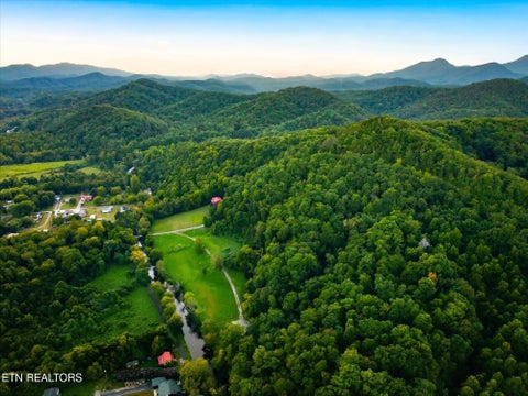 Tiny photo for 322 Mystical Creek Way, Cosby, TN 37722 (MLS # 1355401)