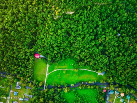 Tiny photo for 322 Mystical Creek Way, Cosby, TN 37722 (MLS # 1355401)