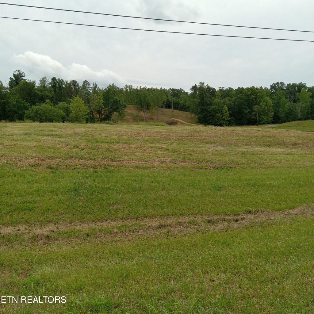 Photo of 8360 New Highway 68, Tellico Plains, TN 37385 (MLS # 1304207)