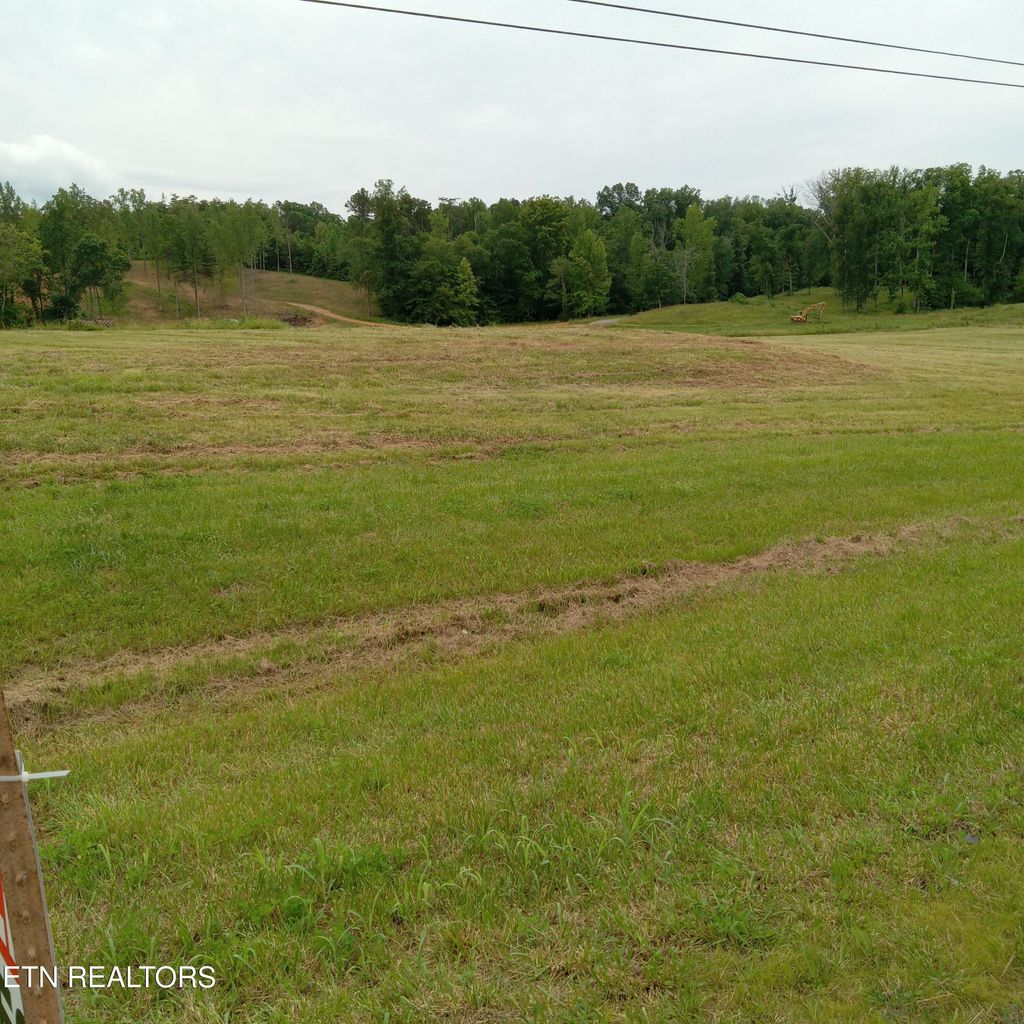 Photo of 8360 New Highway 68, Tellico Plains, TN 37385 (MLS # 1304207)