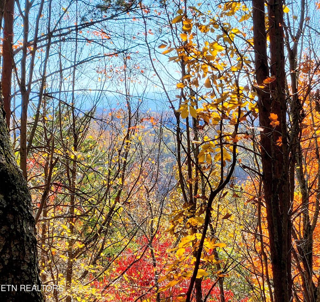 Photo of 0 Sweetwater Vonore Rd, Sweetwater, TN 37874 (MLS # 1321362)