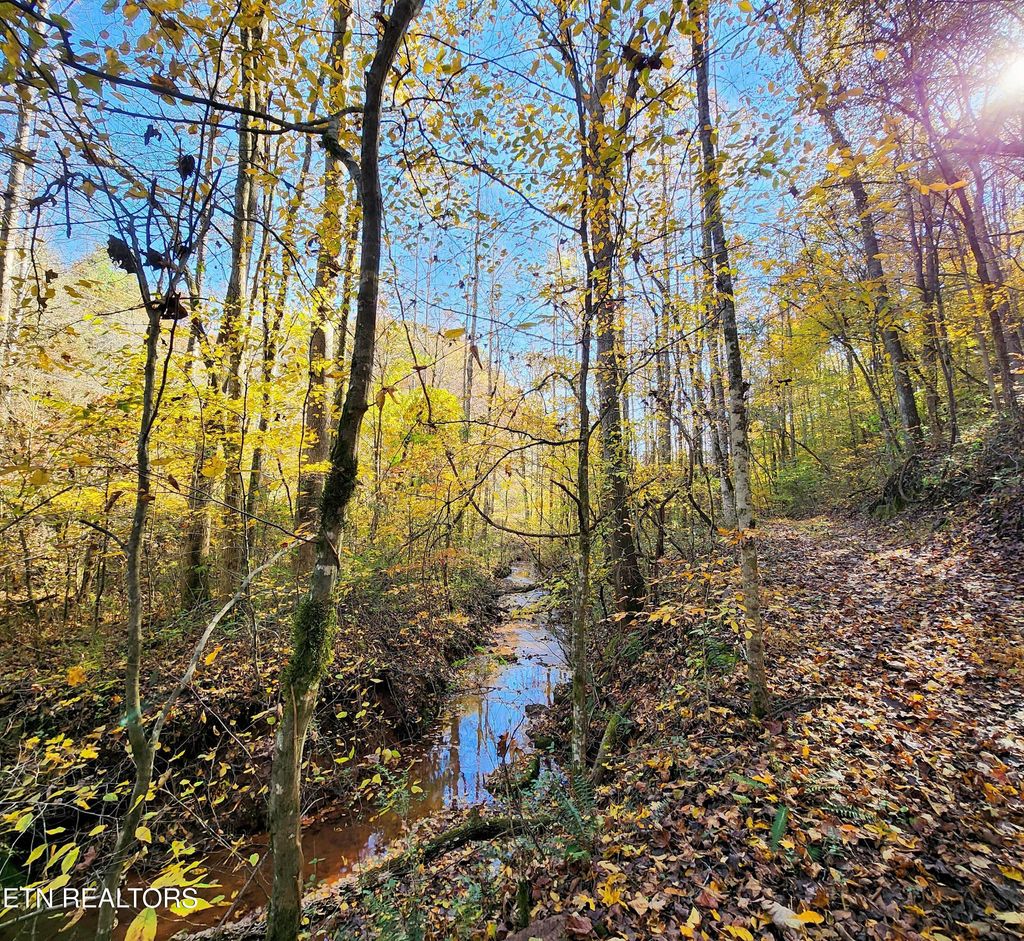Photo of 0 Sweetwater Vonore Rd, Sweetwater, TN 37874 (MLS # 1321362)