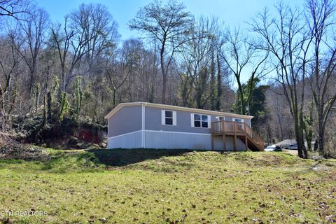 Photo of 736 Mahoney Rd, Oliver Springs, TN 37840 (MLS # 1331576)