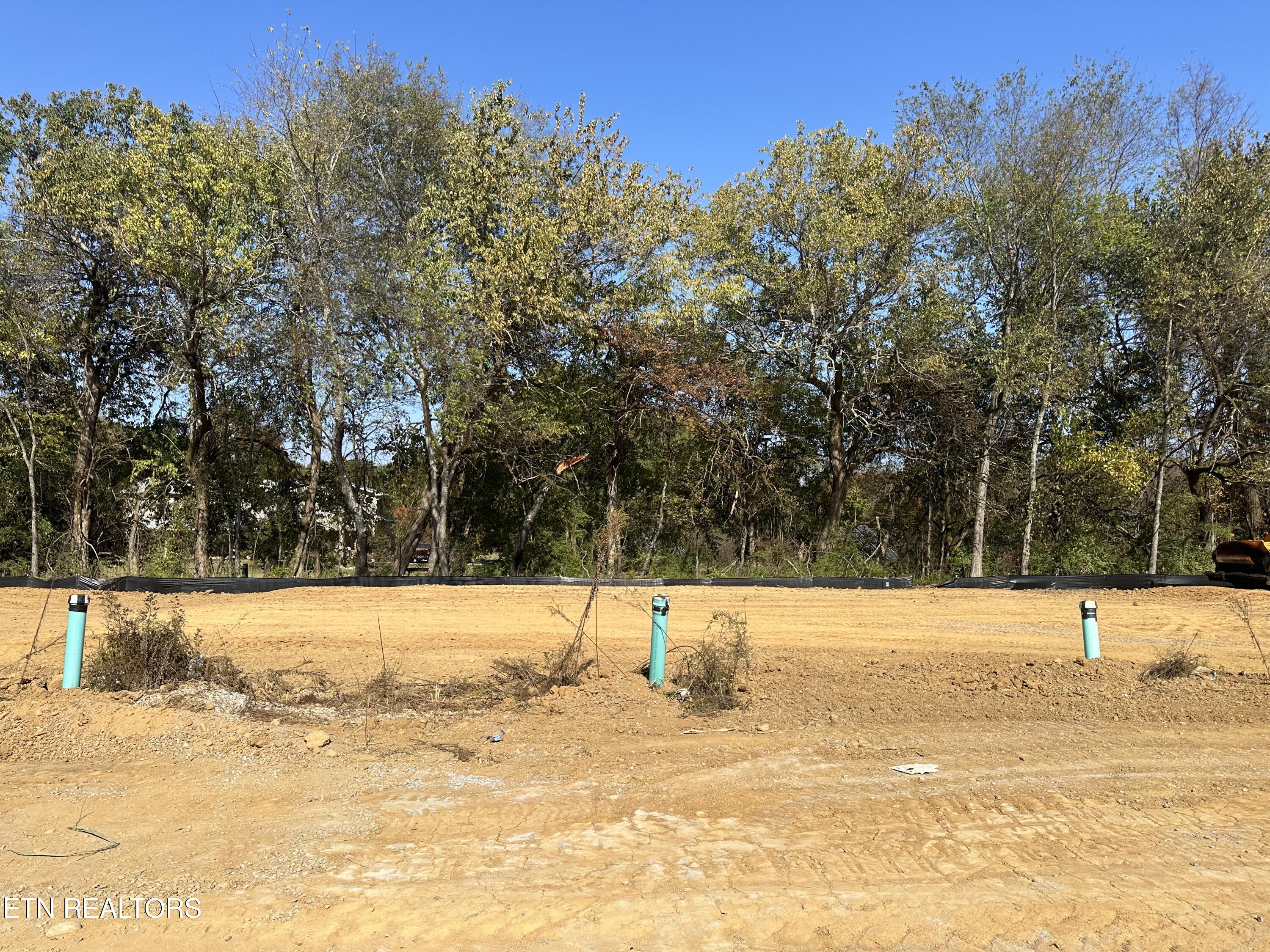 651 Snowflower Circle 141