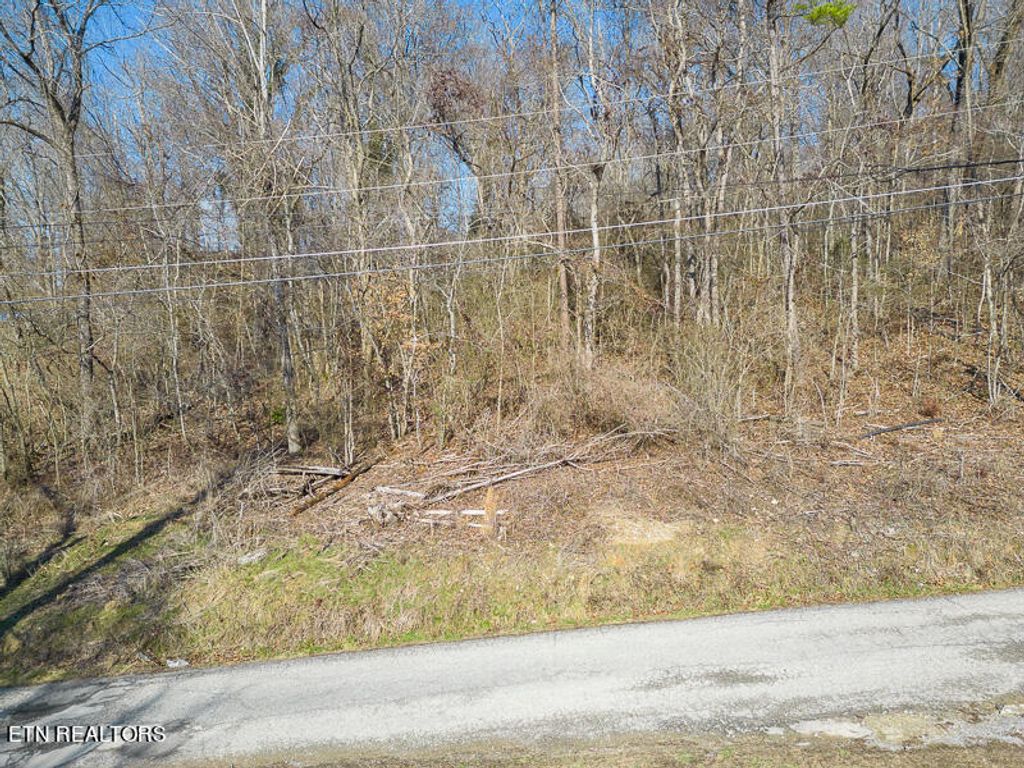 Photo of Lot 507 Deer Trail Circle Cir, New Tazewell, TN 37825 (MLS # 1251304)
