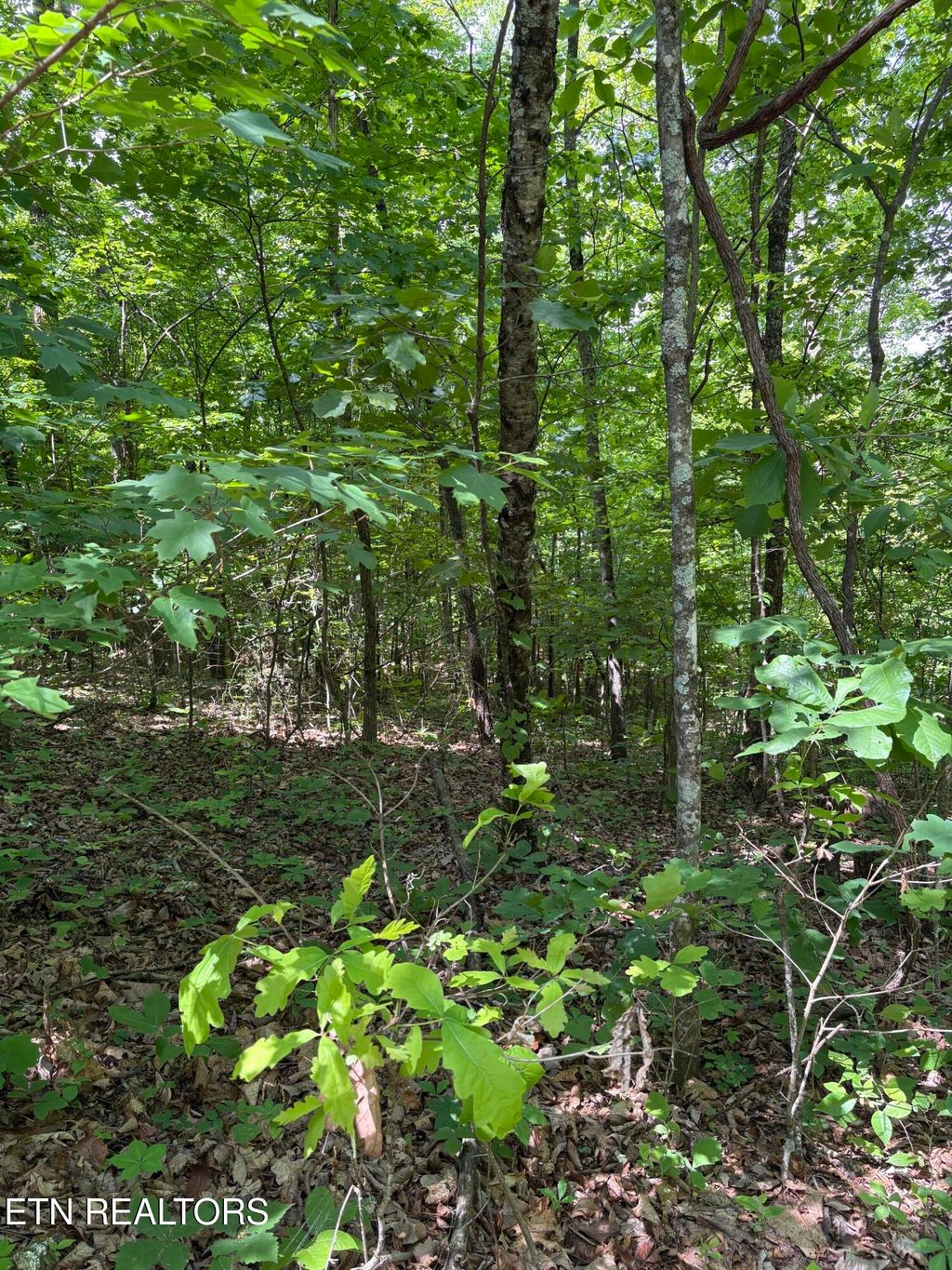 Photo of Tallent Lane, Vonore, TN 37885 (MLS # 1341633)