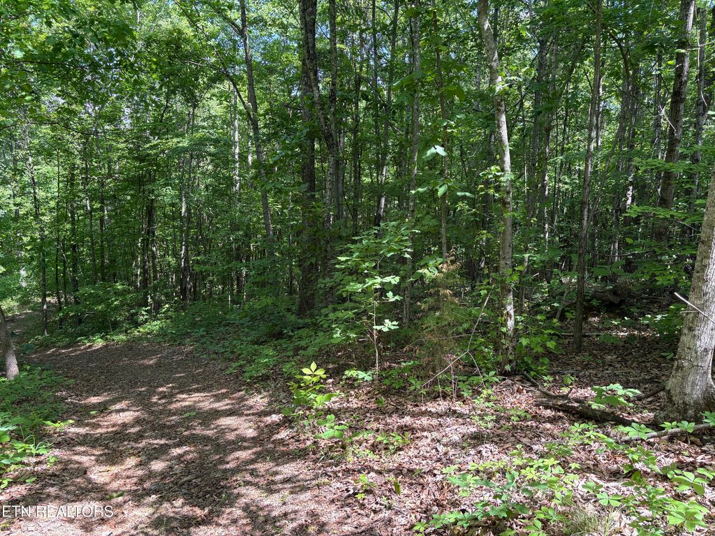 Photo of Tallent Lane, Vonore, TN 37885 (MLS # 1341633)