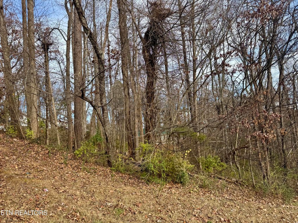 Photo of 271 Sequoyah Drive, Morristown, TN 37813 (MLS # 1322988)