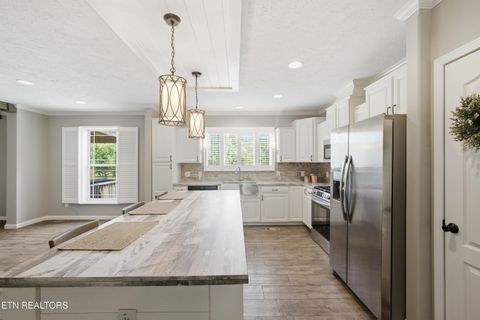 Tiny photo for 127 Narramore Lane, Philadelphia, TN 37846 (MLS # 1347578)