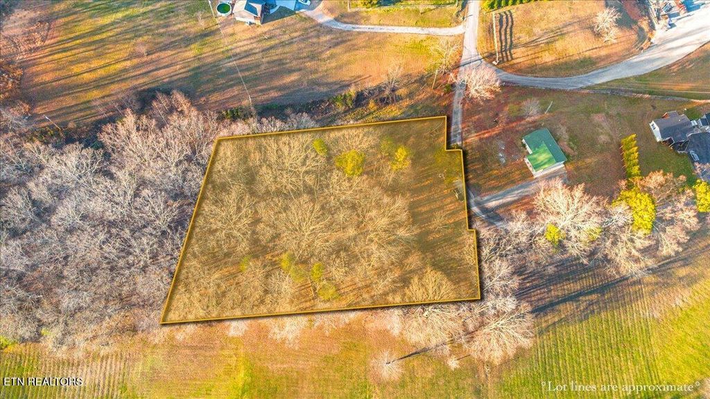 Photo of McGhee Lane, Jacksboro, TN 37757 (MLS # 1323543)