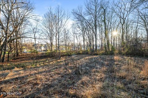 Tiny photo for McGhee Lane, Jacksboro, TN 37757 (MLS # 1323543)