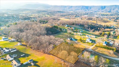 Tiny photo for McGhee Lane, Jacksboro, TN 37757 (MLS # 1323543)