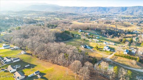 Tiny photo for McGhee Lane, Jacksboro, TN 37757 (MLS # 1323543)