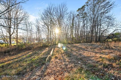 Tiny photo for McGhee Lane, Jacksboro, TN 37757 (MLS # 1323543)