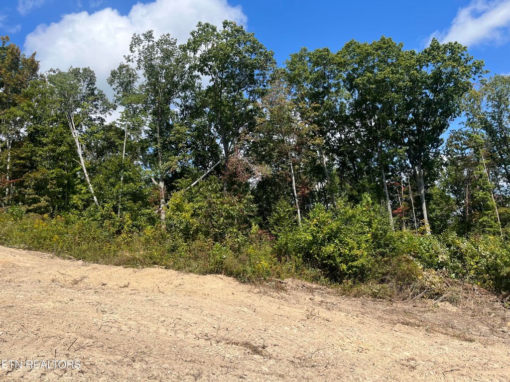 Photo of Tower Rd, Tazewell, TN 37879 (MLS # 1241118)