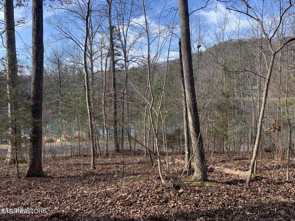 Photo of 170 Laurel Lake Circle Circle, Madisonville, TN 37354 (MLS # 1291868)