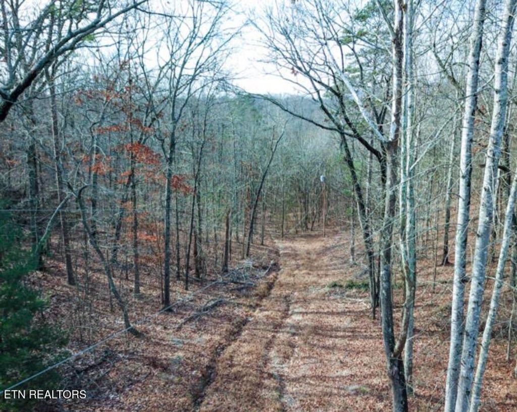 Photo of Hall / Tarwater St, Rockwood, TN 37854 (MLS # 1330999)