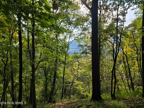 Photo of TBD E PUMPKIN VALLEY Rd, Eidson, TN 37731 (MLS # 1318384)