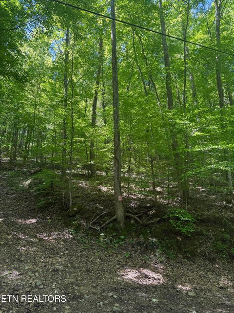 Photo of White Oak Lane, Caryville, TN 37714 (MLS # 1339156)