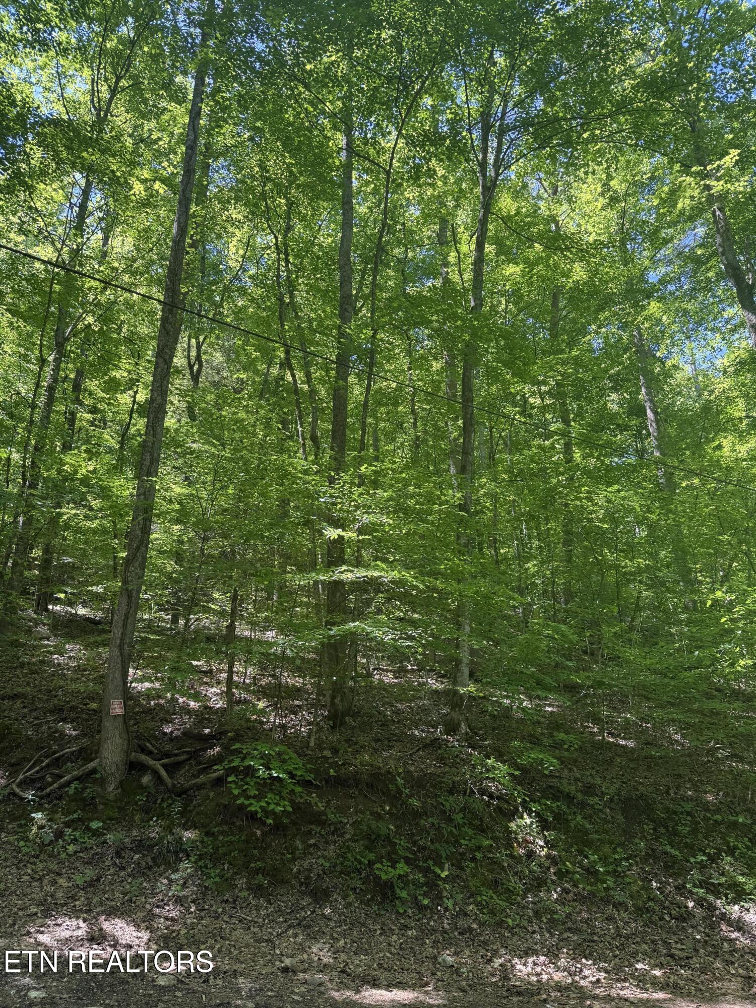 White Oak Lane