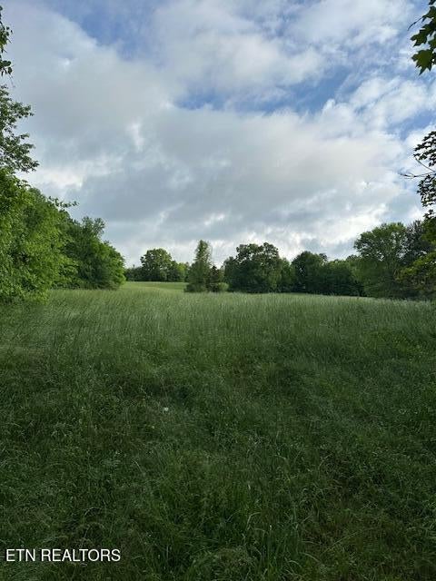 Photo of 1101 Fowler Grove Rd, Newport, TN 37821 (MLS # 1300736)