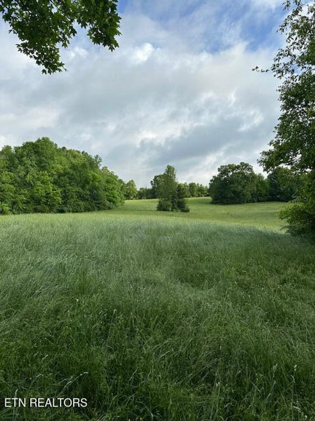Photo of 1101 Fowler Grove Rd, Newport, TN 37821 (MLS # 1300736)