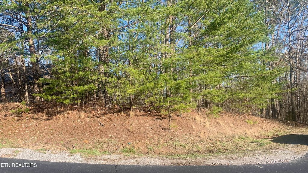 Photo of 205 Seminole View, Loudon, TN 37774 (MLS # 1332280)