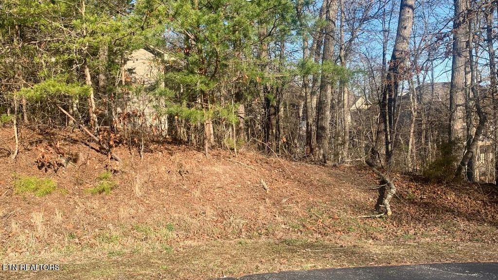 Photo of 205 Seminole View, Loudon, TN 37774 (MLS # 1332280)