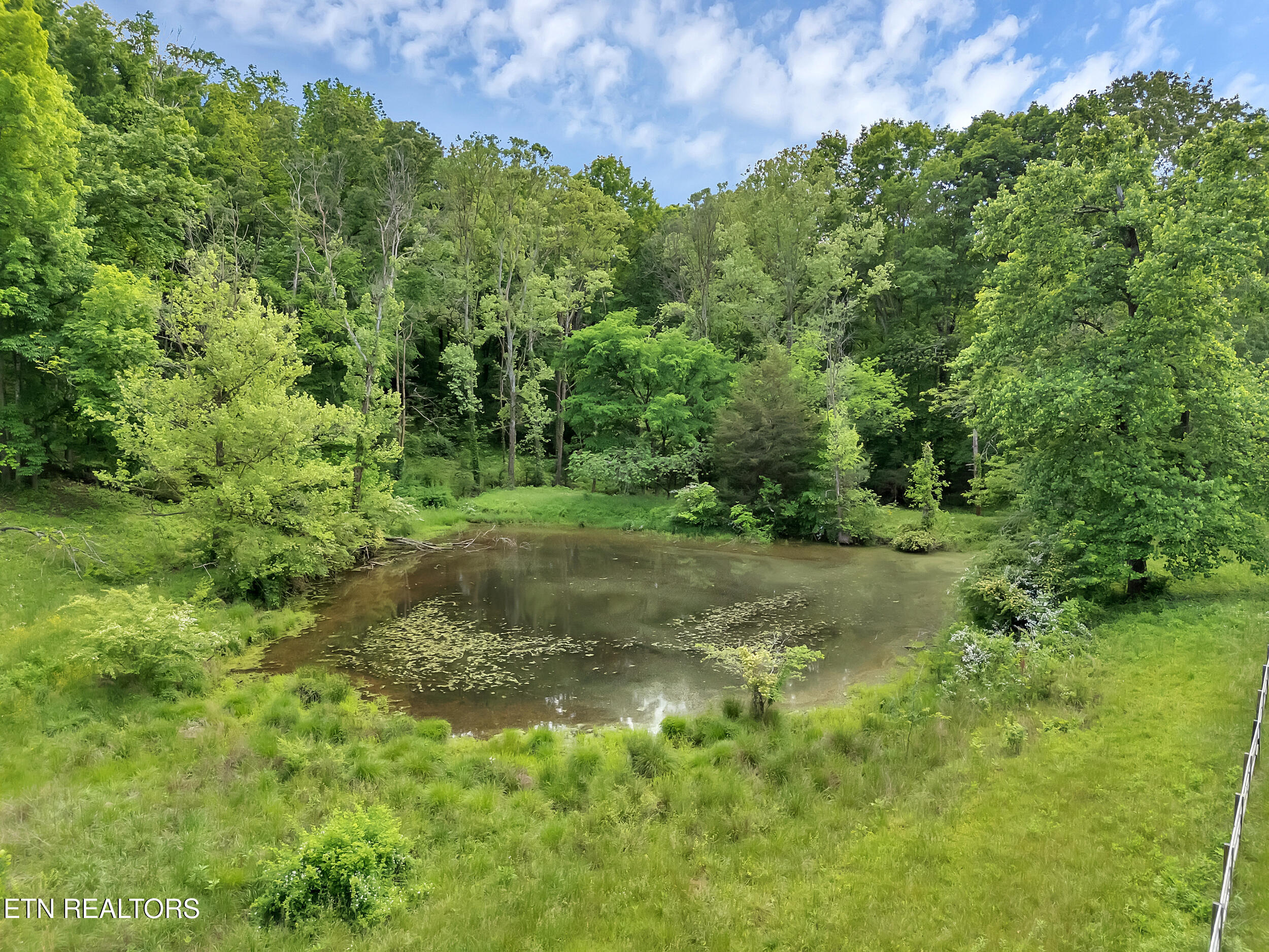 Marble Hill Rd (10+ Acres)