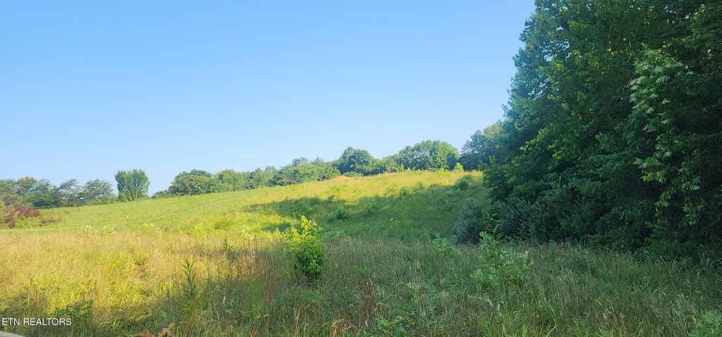 Photo of Fairview Rd, Huntsville, TN 37756 (MLS # 1308491)