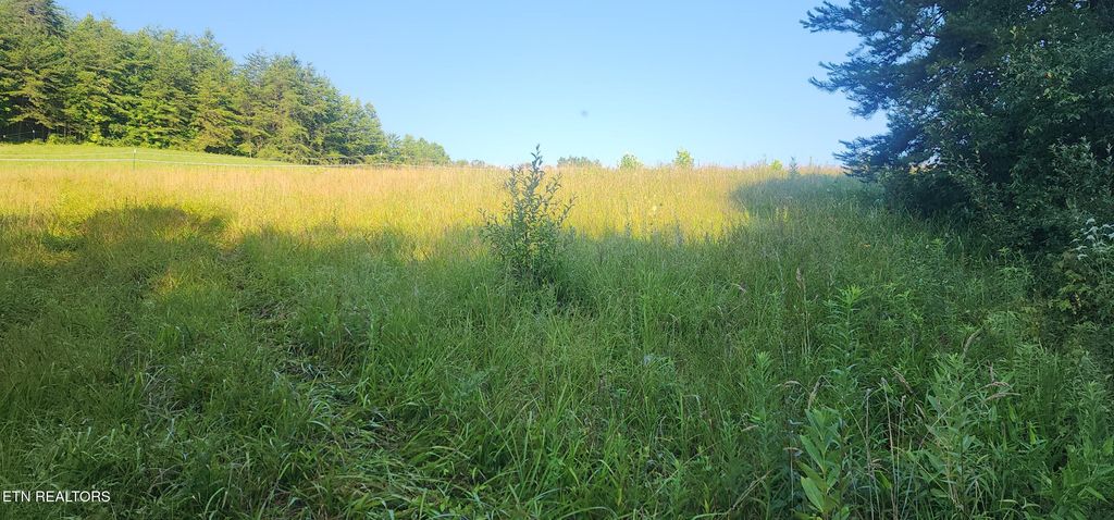 Photo of Fairview Rd, Huntsville, TN 37756 (MLS # 1308491)